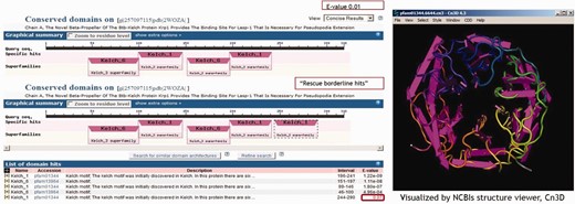 The algorithm ‘rescues’ valuable borderline-scoring domain hits if they are tandem repeats of domain hit(s) already reported.