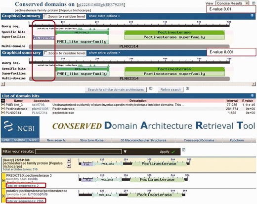 Pectinesterase family protein (GI: 222841688): example of an incorrect domain hit that that should be ‘suppressed’.