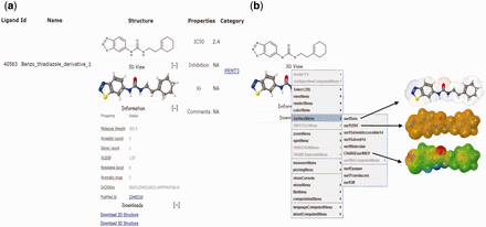 EpiDBase ligand screenshot showing (a) 2D and 3D structural view of the ligand showing advanced property, reference, comments and their download links and (b) 3D surface view depicted as dots, van der Waals and charge.