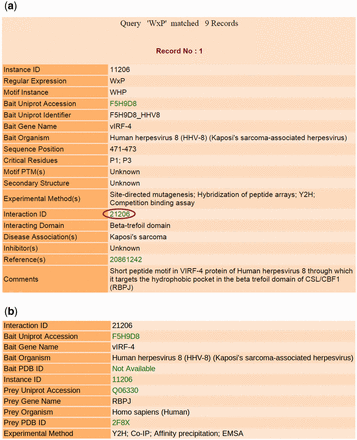 Output results of LMPID. ( a ) The main search result against the query ‘WxP’. ( b ) Page showing the details of the interacting bait and prey proteins by clicking on the hyperlink ‘Interaction ID’.