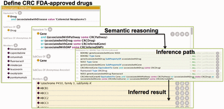 The process of semantic reasoning using CRC as an example. The process involved three steps. We first utilized the OWL definition to define the CRC drugs in Protégé ontology editor. The ‘Equivalent to’ section shows the semantic definition of the CRC Drug class whereas the ‘Members’ section shows a partial list of all the drugs that are members of the class. Then, we employed DL rules to determine the inference path. This figure only shows the overall rule for inferring the possible genes that are relevant to CRC drugs. Additional rules were defined to infer CRC relevant pathways, SNPs and genes in the ontology. Finally, we used Pellet to infer potential CRC target genes. The ‘Equivalent to’ section shows a DL rule for finding the potential CRC target a gene whereas the ‘Members’ section (in yellow background) shows the inferred target genes.