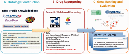 Computational framework for predicting the potential drug targets using CRC as an example. The framework involves three main steps: 1) ontology construction and collection of CRC drugs and their targets, 2) semantic reasoning and 3) network-based gene prioritization.