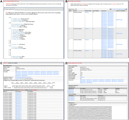  Major browsing function modules of PTGBase. ( A ) Overview of browsing functions for tandem arrays in PTGBase. ( B ) Browsing the tandem duplicated genes by tandem array in special plants. ( C ) Detailed annotation of a tandem duplicated gene cluster. ( D ) Detailed annotation of tandem duplicated genes in PTGBase. 