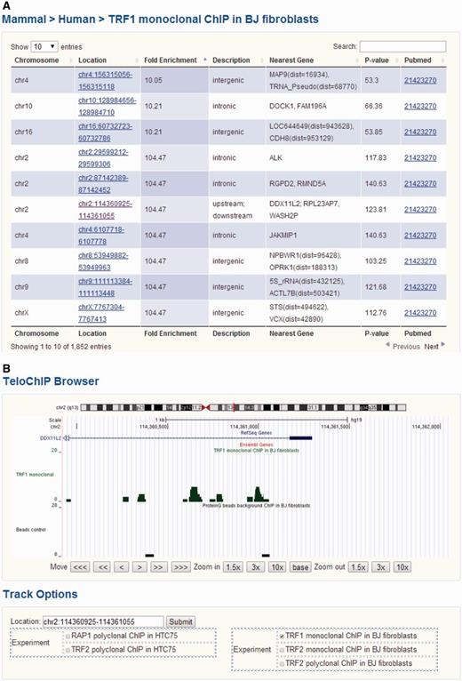 Screen shot depicting the Table Browser and TeloChIP Browser for telomeric protein ChIP data. (A) Table Browser provides telomeric protein ChIP-seq peak information, including chromosome location, fold enrichment, annotation, Pubmed link, etc. (B) TeloChIP Browser provides an integrated view of ChIP-seq peak location with chromosome location, RefSeq genes, Ensembl gene.