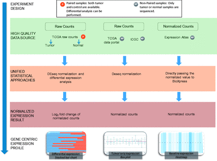Flow chart of the workflow used to create BioXpress. BioXpress processes short reads and read count data through distinct pipelines. Data are further divided into two groups: paired data that have both normal and tumor samples from the same patient, and non-paired, tumor-only data. Output in BioXpress is split into three different types: differential expression (stacked bar chart), tumor-only expression (box plot) and baseline expression data (heatmap). In addition to the data integration approaches shown in the figure, gene expression information is also extracted from publications.