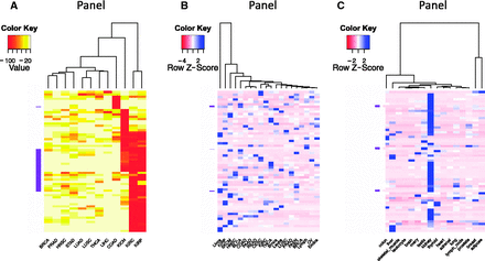 Clustering and heatmap view of the top 50 differentially expressed genes as reported by BioXpress. Although these graphics were generated using external tools, the emphasis here is the ability of BioXpress to sort through large amounts of data and return candidate subsets for subsequent analysis. ( A ) Clustering of these genes in different cancer types based on the frequency of patients who have significant differential expression. Darker colors indicate a higher percentage of patients with such differential expression. (B) For genes which do not have normal samples, the heatmap shows clustering based on normalized count. Darker colors indicate a higher expression level. ( C ) Clustering based on baseline expression for the 50 genes in different tissues. Darker colors indicate higher expression level.