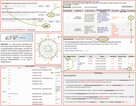 Snapshot of eFIP web interface. The Search Page (top left) allows for various search criteria. The Results Page (top right) displays statistics about amount of documents, kinases, substrates, sites and interacting proteins found for the search criteria, together with a table of the information extracted, which can be displayed in various views. The Document Page (middle right) shows information about the document: title, authors, journal, IDs, as well as a table of the information extracted from the document. The Document Page continues with the gene normalization information (bottom left) and the actual sentences highlighted with corresponding colors for kinase, substrate, site, interactant and trigger words (bottom right). A Cytoscape view (middle left) of the network of interacting proteins from the documents can be seen in a separate window.