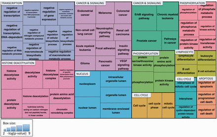  Treemap of enriched Gene Ontology and KEGG pathway terms for proteins identified by eFIP that, when phosphorylated, interact with 14‐3‐3 proteins in the context of cancer. Enriched terms were clustered using the DAVID Functional Clustering tool, which groups terms based on sharing common genes. Term clusters are represented as different colored blocks. For each term, box size reflects the p value of the term enrichment (more significantly enriched terms are in larger boxes). The p values range from 6.44 × 10 −9 (hsa04012:ErbB signaling pathway) to 6.28 × 10 −3 (hsa04370:VEGF signaling pathway). 