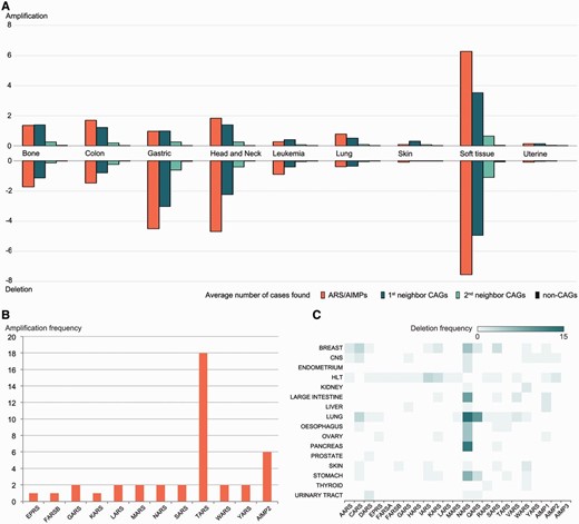 Alterations of copy numbers of ARS/AIMPs and their neighbors. ( A ) Average frequencies of gains (amplification) and losses (deletion) of copy numbers in the four groups of the genes in nine representative cancer types using CNV data in CanGEM: (i) ARS/AIMPs, (ii) and (iii) first and second neighbor CAGs and (iv) non-CAGs. The frequency was defined by the number of amplification cases for the genes in each group divided by the total number of the genes in the group. ( B ) Amplification frequencies of ARS/AIMPs in lung cancer cell lines using CNV data in CCLE. ( C ) Heat map showing deletion frequencies of ARS/AIMPs in 16 different types of cancer cell lines using CNV data in CCLE. Color bar shows the gradient of deletion frequency. CNS, central nervous system; HLT, hematopoietic and lymphoid tissue.