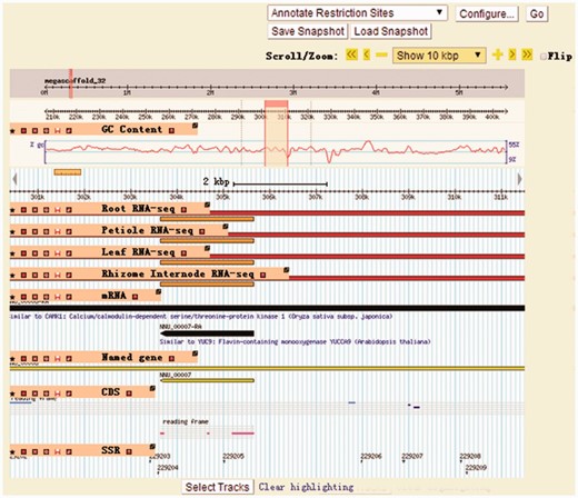 The Gbrowse page of LOTUS-DB. The information on coding genes, non-coding RNAs, GC content, molecular marks (SSR) and RNA-seq could be selectively shown on Gbrowse by setting output items through clicking ‘Select Tracks’ button.