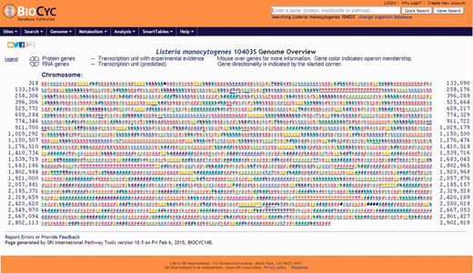 Screenshot of the genome overview page. All annotated genes and genetic features are shown. Consecutive genes sharing the same color are part of the same transcription unit (i.e. operon) and share a contiguous underline. Chromosome coordinates are shown on the left and right sides of the page. All items are clickable and take the user to the corresponding genetic feature (e.g. gene, tRNA, rRNA) page.