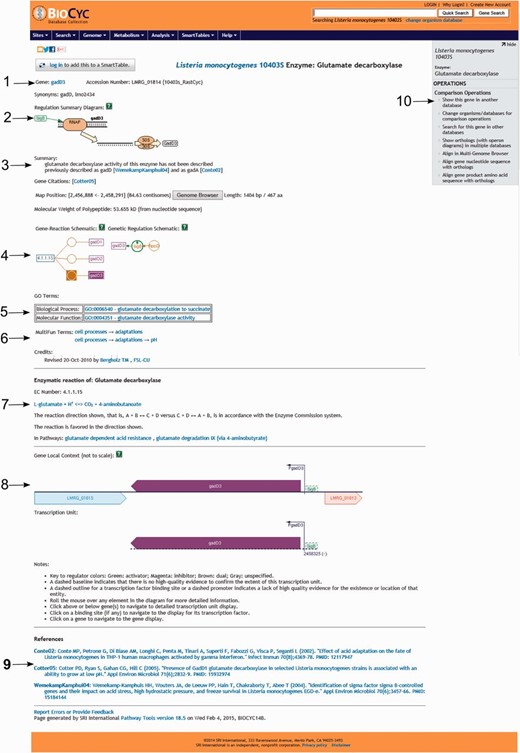  Screenshot of the gene gadD3 page. The page includes several useful pieces of information such as ( 1 ) enzyme name, gene name, gene locus name and synonymous names; ( 2 ) a summary diagram of the expression regulation; ( 3 ) a summary text with pertinent information associated with the gene or protein, literature citations, genome localization, and protein molecular weight; ( 4 ) schematics representing the reactions carried out by the enzyme and the regulatory interactions involved in the gene expression regulation; ( 5 ) Gene ontology terms associated with the protein function; ( 6 ) MultiFun terms associated with the protein function and credits; ( 7 ) information on the reaction(s) carried out by the enzyme, including the pathways (if any) where this reaction may occur; ( 8 ) a diagram representing the region where the gene is located in the genome, including neighboring genes, promoters and regulatory regions and the transcription unit(s) associated with the gene; ( 9 ) bibliographical references with links to NCBI PubMed and ( 10 ) an “Operations” box with several options for comparative genomics analyses using the gene. 