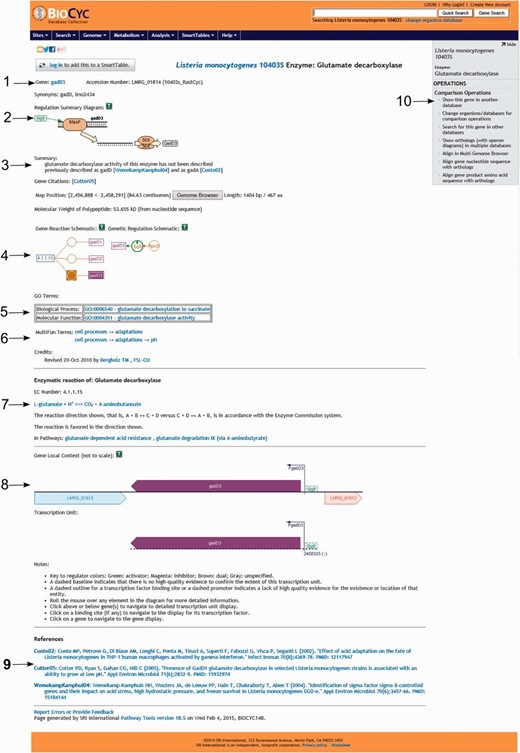 Screenshot of the gene gadD3 page. The page includes several useful pieces of information such as ( 1 ) enzyme name, gene name, gene locus name and synonymous names; ( 2 ) a summary diagram of the expression regulation; ( 3 ) a summary text with pertinent information associated with the gene or protein, literature citations, genome localization, and protein molecular weight; ( 4 ) schematics representing the reactions carried out by the enzyme and the regulatory interactions involved in the gene expression regulation; ( 5 ) Gene ontology terms associated with the protein function; ( 6 ) MultiFun terms associated with the protein function and credits; ( 7 ) information on the reaction(s) carried out by the enzyme, including the pathways (if any) where this reaction may occur; ( 8 ) a diagram representing the region where the gene is located in the genome, including neighboring genes, promoters and regulatory regions and the transcription unit(s) associated with the gene; ( 9 ) bibliographical references with links to NCBI PubMed and ( 10 ) an “Operations” box with several options for comparative genomics analyses using the gene.