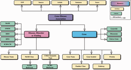 Simplified data model of the DisGeNET RDF representation.