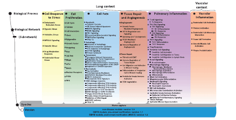 Network models and constituent subnetworks in the CBN database. For each of the six biological processes (marked by circles), the biological networks (marked by stars), and, whenever relevant, subnetworks (marked by lines) describing distinct signaling pathways are listed. Currently, a total of 123 network models with 1–3 different versions each are deposited in the CBN database. Note that even though the endothelial shear stress network was built with the other stress models, its context is exclusively vascular.