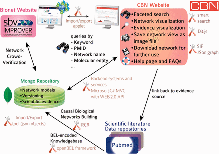 Database and website architecture. Knowledge is extracted from the scientific literature, scripted in BEL and stored in a knowledgebase. All networks are stored as JSON objects in a MongoDB repository with rich metadata (network title, description, version). Networks can be subjected to crowd verification in sbv IMPROVER and are accessible from the CBN database website. A smart search allows users to find relevant network models by searching, e.g. for keywords, molecular entities, biological processes in the nodes list, network title and network description. Networks returned in a search may be exported in different file formats or displayed in a network viewer powered by d3.js (a JavaScript library for manipulating documents based on data) from which additional functionalities are available, such as exporting specific network views as images. All underlying pieces of evidence can be browsed and are linked to the original scientific literature.