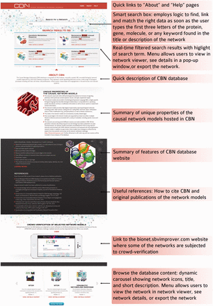 Functional and ease of access to information on the CBN database website homepage.