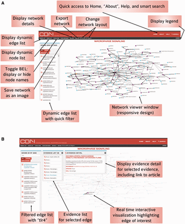 Functionality of the interactive network visualization platform in the CBN database. ( A ) For less-crowded visualization, it is possible to hide node names using the Toggle BEL feature. ( B ) Users can select nodes and/or edges and the visualization updates instantly to highlight the selection and the rest of the network fades into the background.