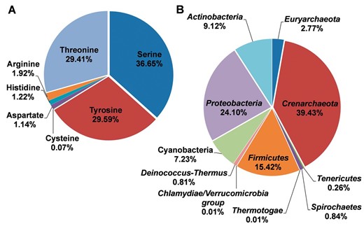 The distributions of residues types and species for the phosphoproteins in prokaryotes. ( A ) The distributions of residues types. ( B ) The distribution of phyla.