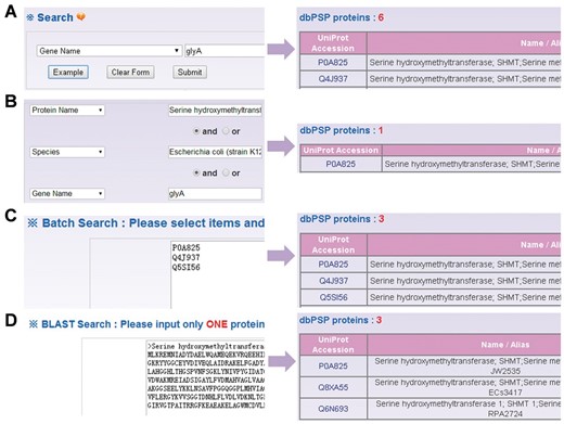  The search options of dbPSP database. ( A ) The database could be searched by simple key words. ( B ) The ‘Advanced Search’ allowed users to submit up to three terms for search. (C) The ‘Batch Search’ for retrieving multiple protein entries with a list of terms. ( D ) The database could be queried with a protein sequence to find identical or homologous phosphoproteins. 