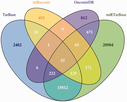 Venn diagram to represent the overlap between OncomirDB, Tarbase, miRTarBase and miRecords, four databases that compile experimentally validated miRNA–mRNA targets through article classification.