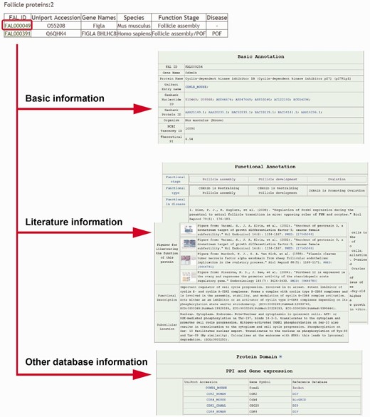 Screen shots of user interface—result page. Collage of some of the results produced via clicking the ‘Browse’ button in both ‘Simple’ and ‘Advanced’ search options.