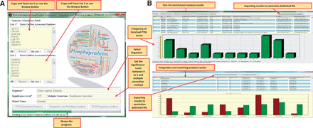 The PEIMAN environment. ( A ) Input parameters in PEIMAN software. The fields with star sign indicates the mandatory input parameters in the software. ( B ) PEIMAN output. The figure demonstrates the output of PTM Enrichment analysis in software. A table and a bar chart are produced after the analysis is completed. The table provides the ID column for each PTM vocabulary. It also provides the frequency of each PTM vocabulary in UniProtKB and the corresponding frequency in protein list. The percent of each PTM vocabulary in UniProtKB and given list of protein is provided as well. The table shows which UniProtKB accession numbers in protein list have the corresponding PTM vocabularies. A P -value and corrected P -value (if multiple correction method is chosen) are provided for further analysis. A bar chart is provided to better represent the data. A comment about where more information is accessible about each protein (Database cross-reference—DR) is provided as well. The result of the integration and matching analysis are presented for two separate protein lists. The produced table and bar chart gives a better understanding about the PTM vocabularies found in two separate protein lists. The table provides the P -value, corrected P -value, frequency and percent of each PTM vocabulary in both lists.