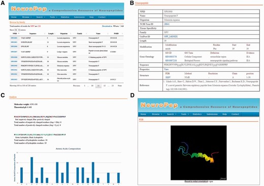 An overview of the user interface of NeuroPep. ( A ) The browse output of NPY neuropeptide family. ( B ) An example of an entry NP03900 of the NPY family. ( C ) The properties page of the entry NP03900. ( D ) The structure view page of the entry NP03900.