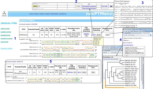 Screenshots depicting typical analysis using search interface and comparative sequence analysis tools of novPTMenzy database. Panel 1: The Search interface used sequence to HMM profile alignment to identify AMPylation domain in query sequence and classified it as Fic type from among Fic, Doc, AvrB and AnkX subfamilies. It also depicts putative active site residues identified in the Fic type AMPylation domain, provides links to experimentally characterized homologs and also structural homologs. Panel 2: Structural homologs of the Fic domain in the query sequence. Panel 3: Alignment with the closest structural homolog obtained by clicking the button labeled ‘Str Ali’ in the structural homolog cell in Panel 1. Panel 4: Tree button in Panel 1 builds a phylogenetic tree of the PTM catalyzing domain in the query sequence along with seed sequences for the corresponding domain stored in novPTMenzy. It could be either visualized by clicking ‘view tree’ button or downloaded for further analysis. Panel 5: Identification of a Doc domain in a different query sequence using the search interface of novPTMenzy.