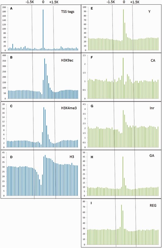 TSS tags, histone modification of H3K9ac and H3K4me3, and core promoter motifs (Y patch, CA, Inr, GA and REG) are enriched around experimentally verified TSSs, whereas nucleosome H3 are declined. The vertical and horizontal axis represent the accumulative number of each feature (X 1000 ) and genomic location (from −5 to +5 kb relative to experimentally verified TSSs, window size = 200 bp) representatively.
