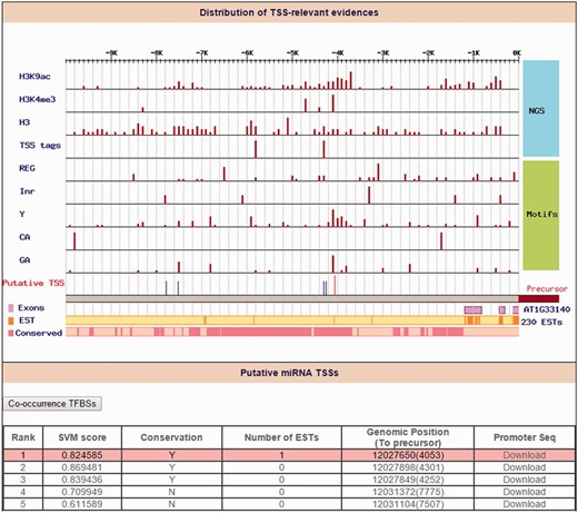 Identification of ath-miR5630b TSS. Distribution of TSS-relevant evidence (including 4 high-throughput sequencing datasets and 5 core promoter motifs) is displayed in the 10 kb upstream of the ath-miR5630b precursor. The orange line and the pink rectangles represent the initiation of expressed sequence tags (ESTs) and conservation blocks, respectively. On the other hand, the red line denotes the representative TSS for ath-miR5630b (Rank 1), and the blue lines denote other TSS candidates of ath-miR5630b.