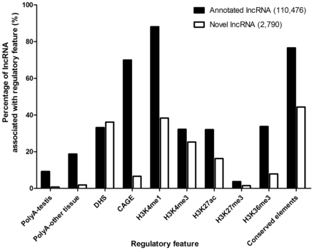 Percentages of annotated and novel lncRNAs associated with various regulatory features.