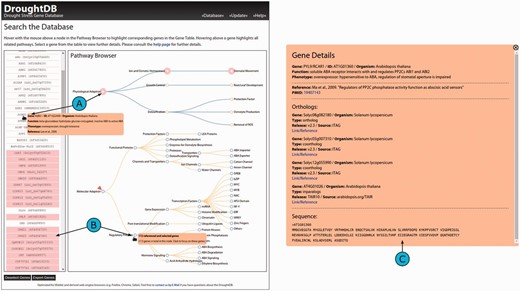 Screenshot of the DroughtDB web interface. ( A ) When hovering above a node in the Pathway Browser corresponding genes are highlighted in the Gene Table. ( B ) Hovering above a gene highlights all related nodes. ( C ) When selecting a gene from the table further details are shown.