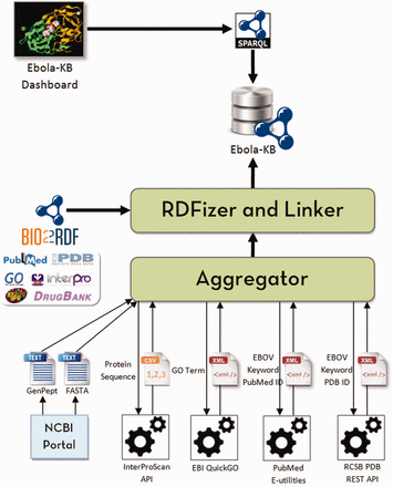 System architecture to build and update the Ebola-KB. The Aggregator queries the Web APIs to aggregate data from the underlying data sources (InterPro, GO, PubMed and PDB). The RDFization module uses Open Refine and the Ebola-KB Vocabulary to transform the aggregated data to RDF. We finally link the retrieved entities (genes, domains, PDB Structures, GO Terms, publications and ligands) to similar entities in Bio2RDF datasets (NCBIGene, InterPro, PDB, GO, PubMed and DrugBank respectively). The Ebola-KB is exposed as a SPARQL 1.1 endpoint which can be queried by the Ebola-KB dashboard.