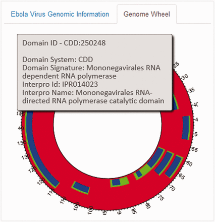 The EBOV Genome Wheel visualizes the spatial organization of the genomic regions.