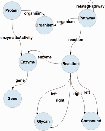 A conceptual representation of the data model proposed for the RDF pathway database. Circles denote concepts and links denote properties; concepts on the respective ends of a link (property) denote its domain and range.