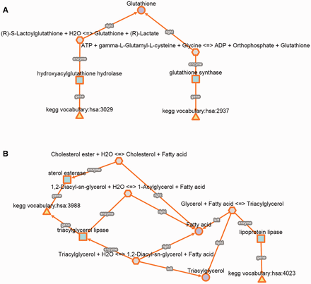 Detailed biochemical reactions and associated components for each case of use. ( A ) Glyoxylase deficiency. ( B ) Hypercholesterolemia.