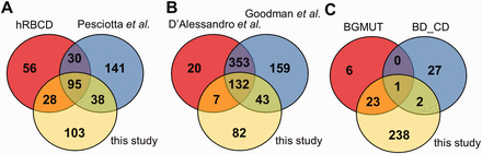 Comparison of the coverage of RBC transmembrane and membrane-associated proteins in different datasets. ( A ) The presence of membrane proteins in MS datasets, ( B ) in comprehensive reviews and ( C ) in highly validated data sources are compared with membrane proteins identified in our MS study. hRBCD, human RBC Database; Pesciotta et al. , D’Alessandro et al. , and Goodman et al. are references to ( 6 , 10 , 11 ); BGMUT and BD_CD mark the human blood group database and the CD marker table provided by BD, respectively.
