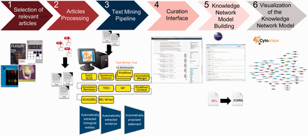 Overall workflow used to create the atherosclerosis plaque destabilization network. The knowledge extraction workflow contains six steps. Step 1: Selection of articles that represent specific biological context from which the knowledge base was constructed. Step 2: Text-processing with special character clearance and line break corrections to ensure proper machine parsing. Step 3: Text mining pipeline with an automated recognition of NER and relationships and coding into a BEL-compliant syntax. Step 4: Domain expert curation process in the curation interface based on the automatically created and proposed BEL statements. Step 5: Validation and transformation of BEL statements into knowledge network models. Step 6: Visualization of the knowledge network model.