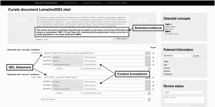 Screenshot of the knowledge extraction curation interface.