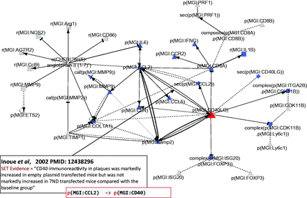  Part of the network showing CD40LG and its interactions with other hub nodes. Biological entities or nodes. CD40LG is indicated in red, and the nodes that are regulated by CD40LG are indicated in blue. An example of evidence extracted from Inoue et al . ( 53 ) (PMID: 12438296) with the semi-automated extraction workflow and the associated BEL statement are given in the two boxes on the bottom left of the figure. Square, RNA abundance; triangle, protein abundance; V shape, protein activity; hexagon, complex; diamond, secretion. (B) Relationships or edges. Lines with dark arrows indicate positive causal relationships; lines with dark Ts indicate negative causal relationships; black sine waves indicate correlative relationships and black dotted lines indicate non-causal relationships. 
