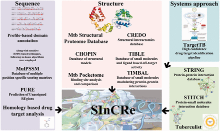Various data resources contributing to SInCRe.
