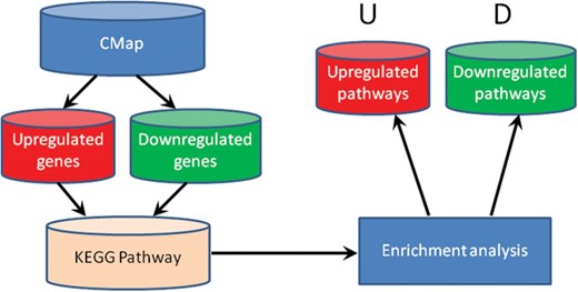 The flowchart of Drug-Path.