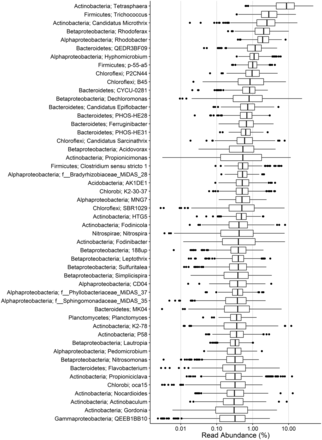  Boxplot showing the abundance of the top 50 genera of the MiDAS amplicon survey. On average, 55% (sd 7%, n  = 396) of the total sequence reads for each plant classify to these genera. Phylum- and genus-level classification is given in the left.  Where genus-level classification is absent, the lowest taxonomic level is given along with the MiDAS reference OTU. See Supplementary information for further details. 