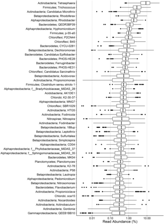 Boxplot showing the abundance of the top 50 genera of the MiDAS amplicon survey. On average, 55% (sd 7%, n = 396) of the total sequence reads for each plant classify to these genera. Phylum- and genus-level classification is given in the left. Where genus-level classification is absent, the lowest taxonomic level is given along with the MiDAS reference OTU. See Supplementary information for further details.