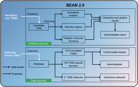 Overview of the resources in BEAN 2.0.