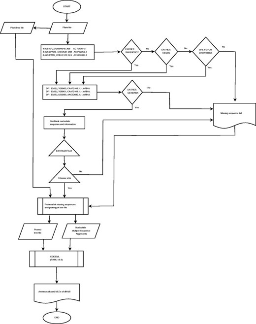 Workflow for the development and compilation of EvoDB.