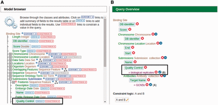 An example of modifying a template using the ‘QueryBuilder’ tool. An existing ‘ChIP target(s) → Binding sites’ template is being modified to display an additional attribute and limit the output by applying a filter. (A) Using the ‘Model browser’ on the left, we enable the attribute ‘quality control’ by clicking the ‘SHOW’ button. This will display quality control attributes in the final result. We can also limit the results by applying a constraint value of ‘biological replicates’ to the quality control attribute by clicking the ‘CONSTRAIN’ button. (B) The ‘Query Overview’ to the right shows that the filter ‘biological replicates’ has been applied to the attribute quality control.