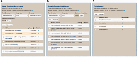 An example of the ‘List analysis’ page showing outputs of graphical and statistical analysis widgets. We used 30 genes annotated with the GO term ‘response to stress’ along with 270 randomly selected genes to generate the result. (A) As anticipated, GO enrichment analysis shows that the GO term ‘response to stress’, among other GO terms, is statistically significant. (B) Protein Domain enrichment analysis shows that many enriched domains were found including ‘Heat shock protein HSP90 family’ domain. (C) Numerous orthologs, including 59 Human genes, were found among 300 uploaded genes. These orthologous gene lists can be used for further analysis via MOD compliant InterMine variants.
