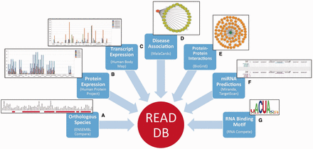 Integration of data from multiple sources in READ DB.